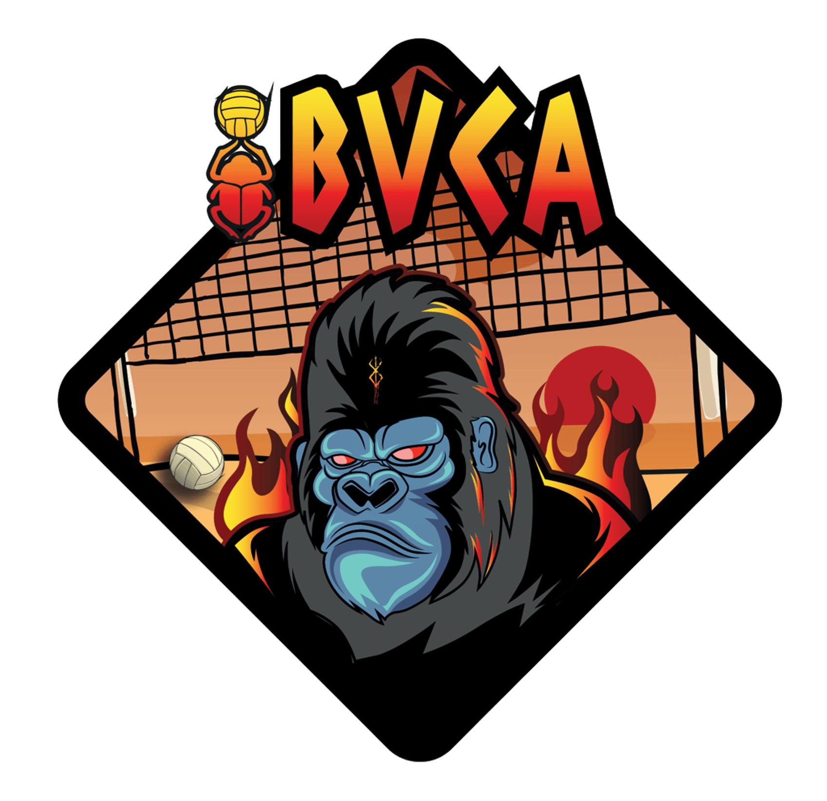 Logo BVCA